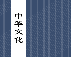 中华v动挡优势在哪？驾驶体验如何？