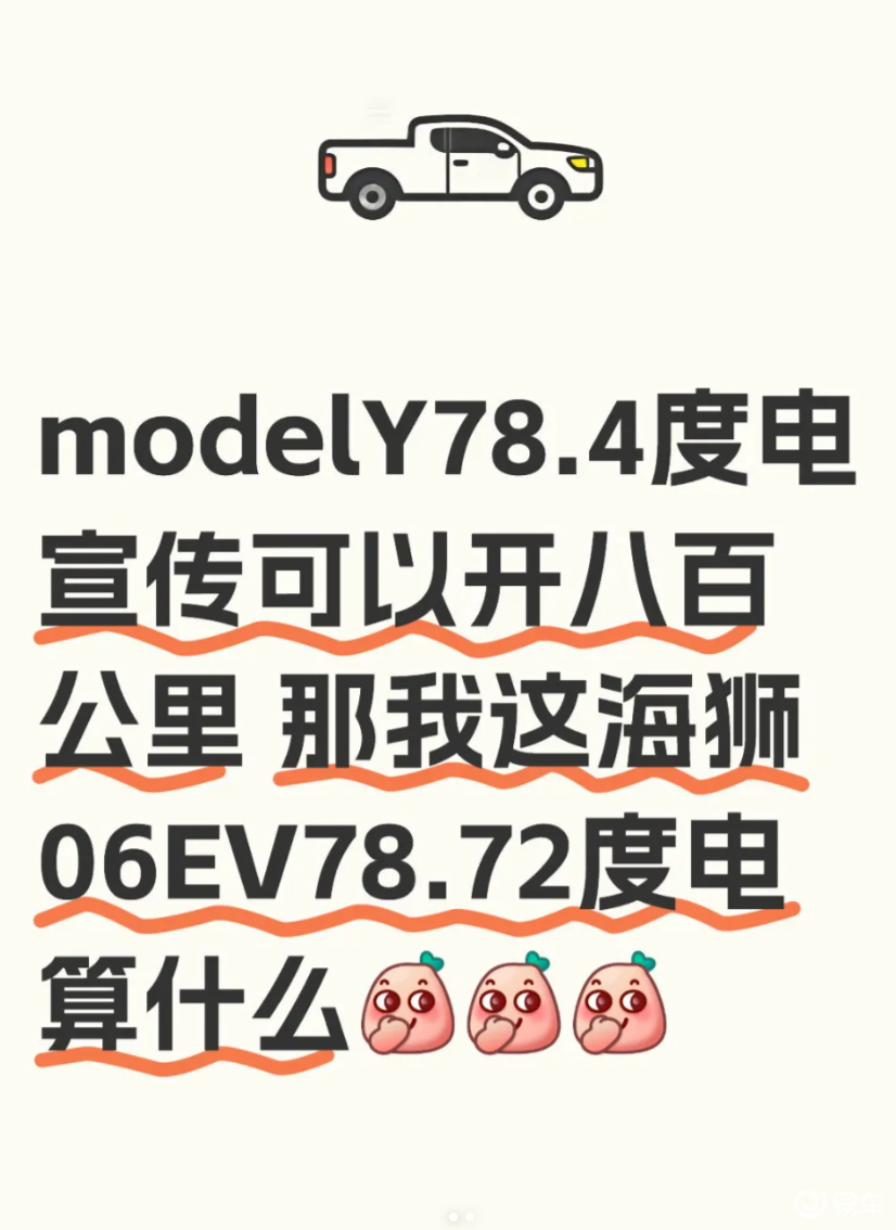 Model Y 和海狮 06EV :电池容量差不多